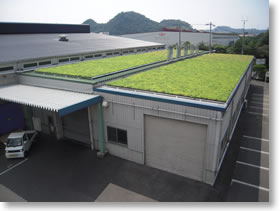 工場屋根緑化施工例VUS500